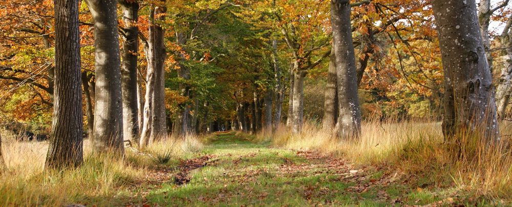 Natuuractiviteiten 4-6 jaar