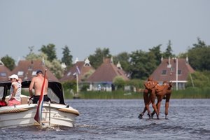Bootverhuur Bootverhuur